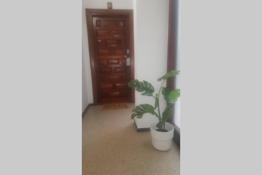 Apartament Victoria 51. Las Palmas de Gran Canaria Zewnętrze zdjęcie